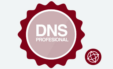 DNS PROFESIONAL
